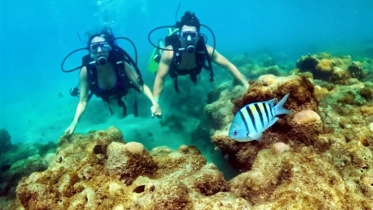 Catamar&atilde; + Mergulho Livre + Cilindro em Maracaja&uacute;