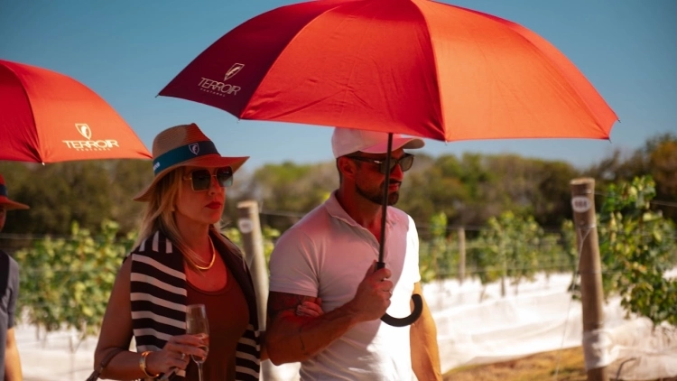 Festival da Vindima no Terroir 2026