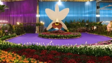 85° Festa das Flores | 18 a 23 de novembro de 2025