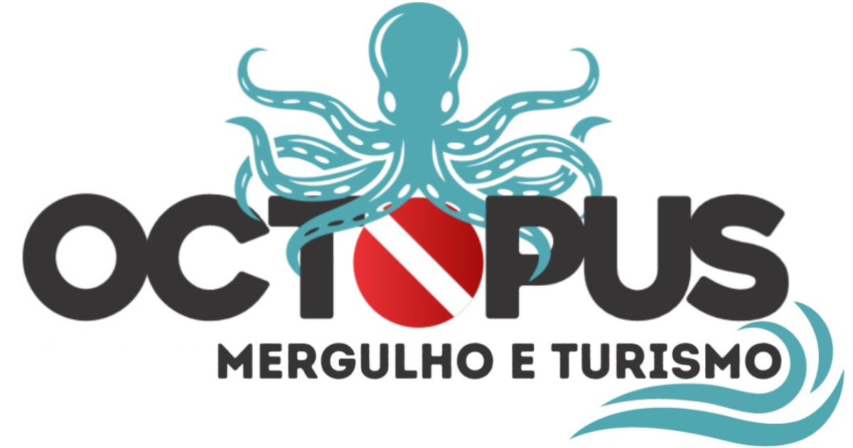 Octopus Dive Brasil a sua escola de mergulho com passeios de barcos
