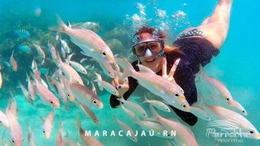 Catamar&atilde; + Mergulho Livre
