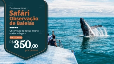 Observação das Baleias Jubarte