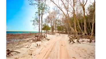 PASSEIO LADO OESTE EM JERICOACOARA