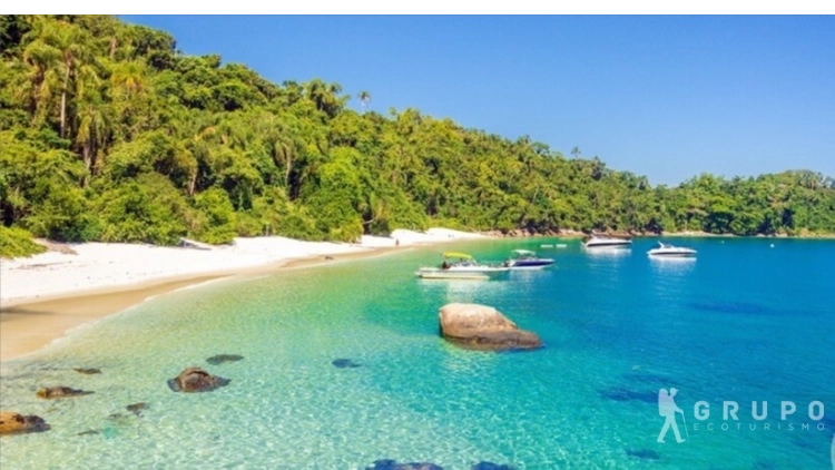 Imagem de vitrine