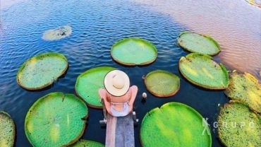 Alter do Ch&atilde;o, PA + Festival do Sair&eacute;