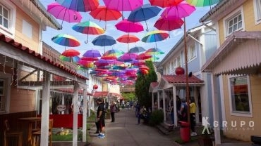 PENEDO, SERRINHA DO ALAMBARI E ITATIAIA, RJ 