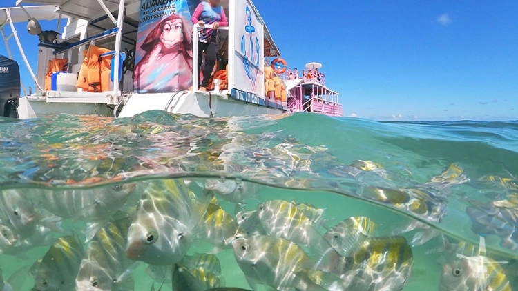 Pic&atilde;ozinho no Capit&atilde;o Nemo