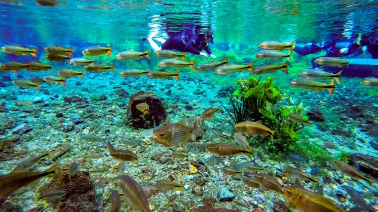 Nascente Azul | Flutua&ccedil;&atilde;o + Balne&aacute;rio