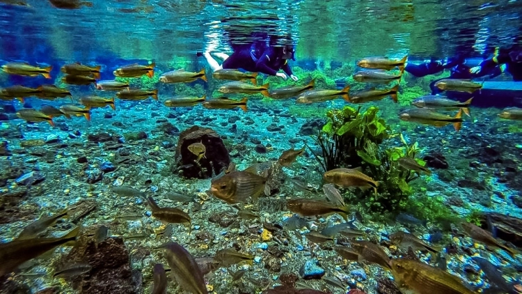 Nascente Azul | Flutua&ccedil;&atilde;o + Balne&aacute;rio