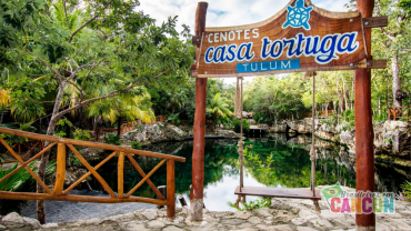 Tulum + Cenotes Casa Tortuga