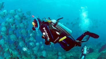 MERGULHO DE CILINDRO ILHA DO ARVOREDO/ ESTALEIRO OU PRAIA DA SEPULTURA