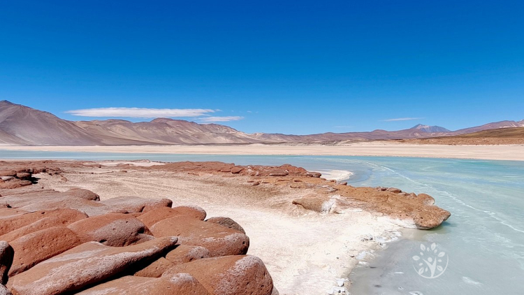 EXPEDI&Ccedil;&Atilde;O DESERTO DO ATACAMA 