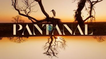 Pantanal Santuário Ecológico e Bonito