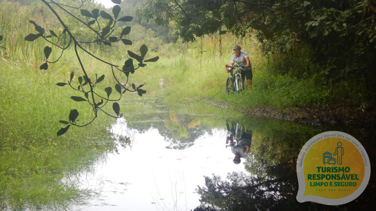 Viajar de bicicleta pela Estrada da Graciosa: cicloturismo na Mata Atlântica