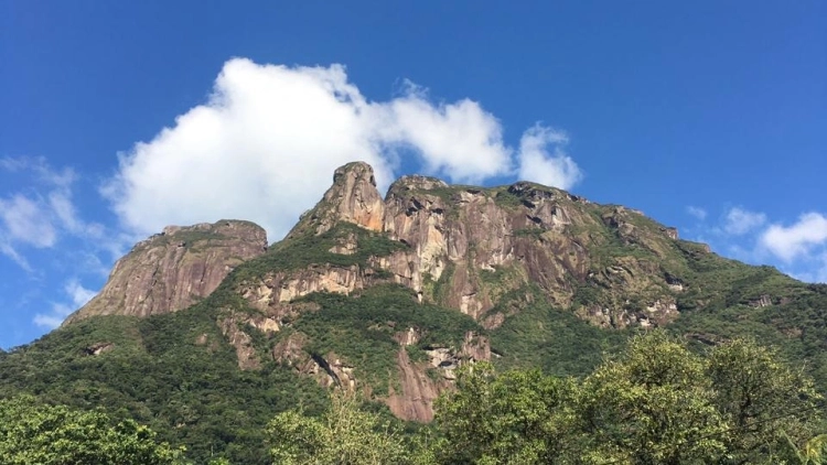 Pico Rochedinho -Trilha Ecol&oacute;gica - Parque Estadual Pico do Marumbi