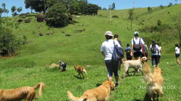 Trilha com Pets - Antonina