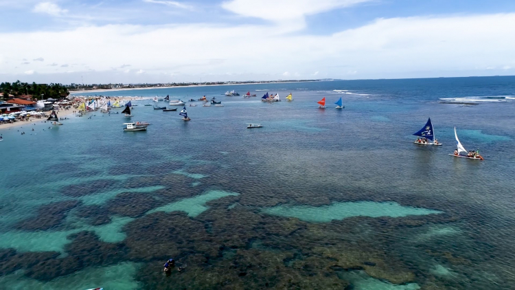 O Que Vi Pelo Mundo - As galinhas, os turistas e a volta das viagens!