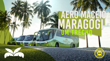 Aeroporto Maceió - Maragogi ou Japaratinga | Hotéis e Pousadas | - Um trecho