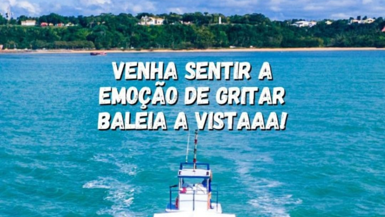 Imagem de vitrine