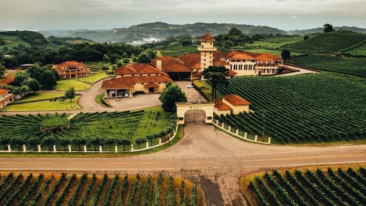 Vinícolas em Gramado e Canela, RS: conheça as principais