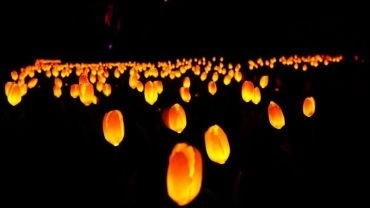 Lumni Experience I Ingresso