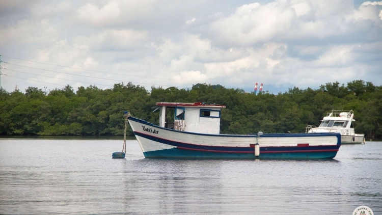 Ilha Diana: Viv&ecirc;ncia Cai&ccedil;ara e Tour em Santos