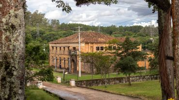 Floresta Ipanema: Trilha e História