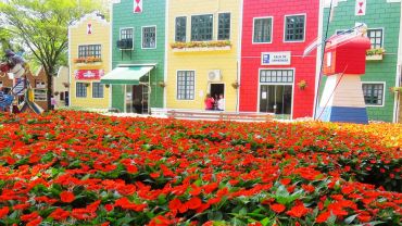 Holambra: Flores, Lavandas e City Tour