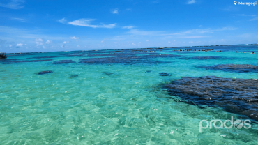 Pacote em JULHO para Porto de Galinhas, Maragogi e Carneiros