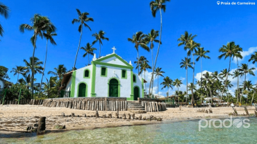 Pacote NO FERIADO para Porto de Galinhas, Maragogi e Carneiros