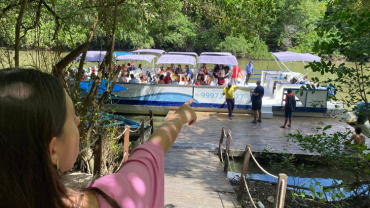 Recife e seus Bairros