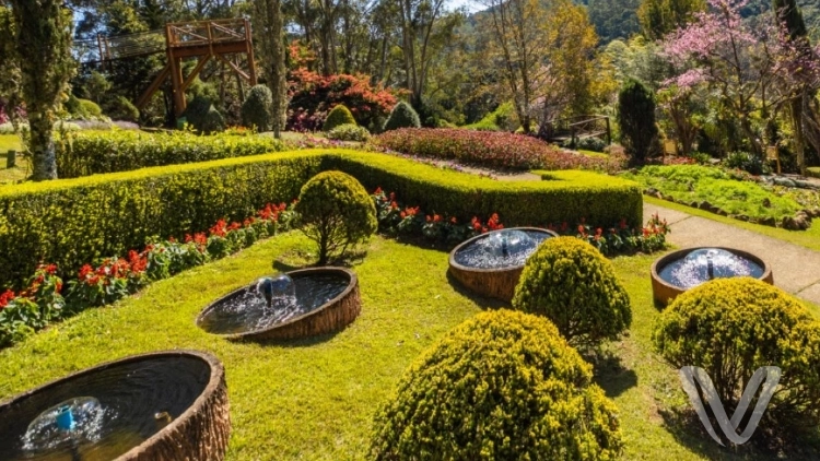 Santo Ant&ocirc;nio do Pinhal + Campos do Jord&atilde;o