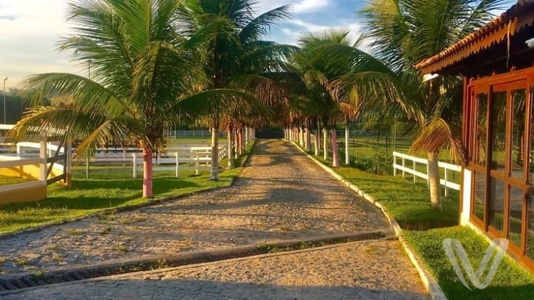 Day Use no Hotel Fazenda Center Plaza em Silva Jardim