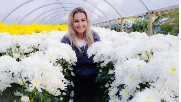 Nova Friburgo com Flores e Morangos