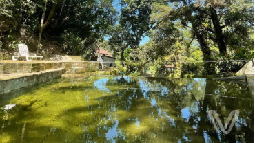 Day Use na Fazenda Colomi Ecoturismo