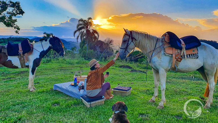 File:Passeio a cavalo em frente à Duna do Por do Sol.jpg - Wikimedia Commons