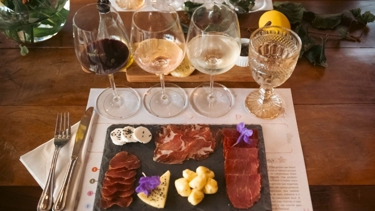 Wine Experience Terroir Pantanal  + Transfer