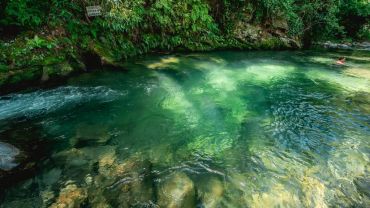 Rancho do Zé João em Lavrinhas - Janeiro