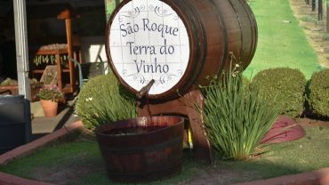 Rota do Vinho - São Roque - Agosto