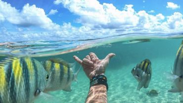 18 a 22/07 - Maragogi AL, Recife, Porto de Galinhas e Praia dos Carneiros PE