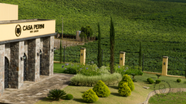  Tour Guiado e Degustação Premium Harmonizada na vinícola Casa Perini