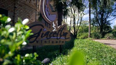 Tour Guiado com Degustação na Vinícola Giaretta