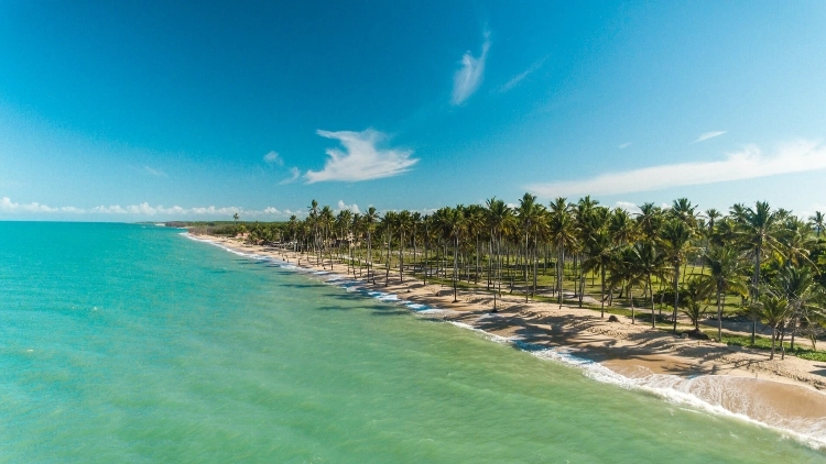 PRADO, e CUMURUXATIBA, BA 