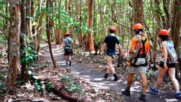 Arvorismo com Tirolesa