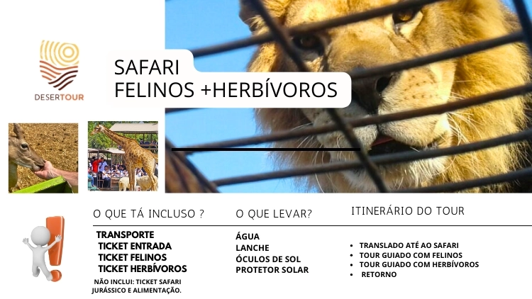 Imagem de vitrine