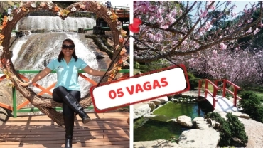 Festa da Cerejeira + City Tour em Campos do Jordão/SP - 09 de agosto de 2025 