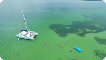 Cruzeiro de catamarã com snorkel na Ilha Shell em Panama City Beach