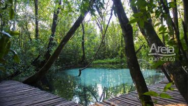 AREIA QUE CANTA (Passeio)