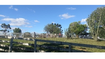 Andiamo! na Fenamassa - Antônio Prado 