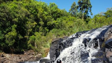Ônibus Temático Andiamo! - Morangos, Campos e Cachoeira